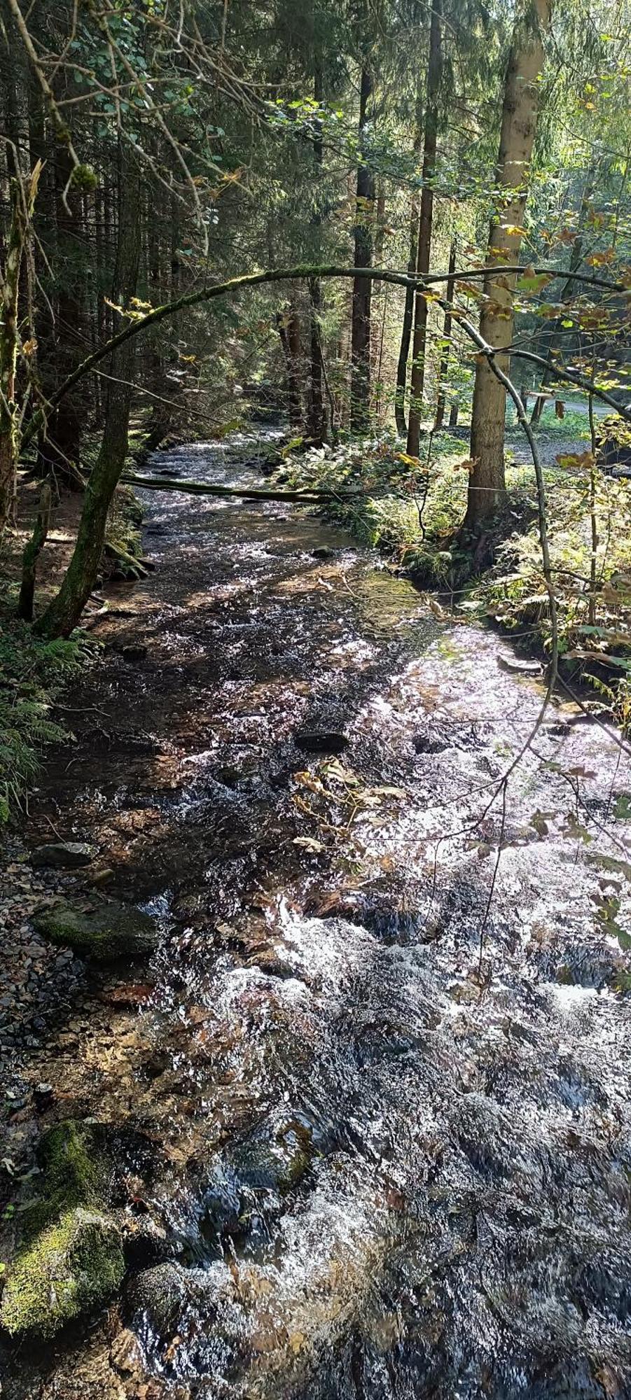 Appartement Bergzauber Scheibenberg Esterno foto